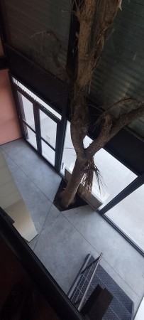 LOCAL 150M2. LURO Y 184. ALQUILADO