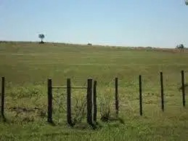 CAMPO RUTA 226. KM 18