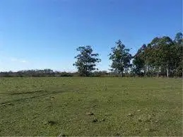 CAMPO RUTA 226. KM 18