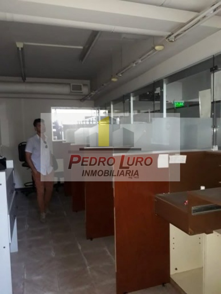 local 800m2 Luro y Champagñat