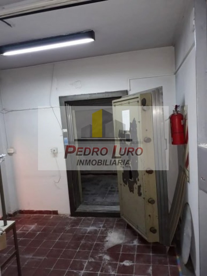 local 800m2 Luro y Champagñat