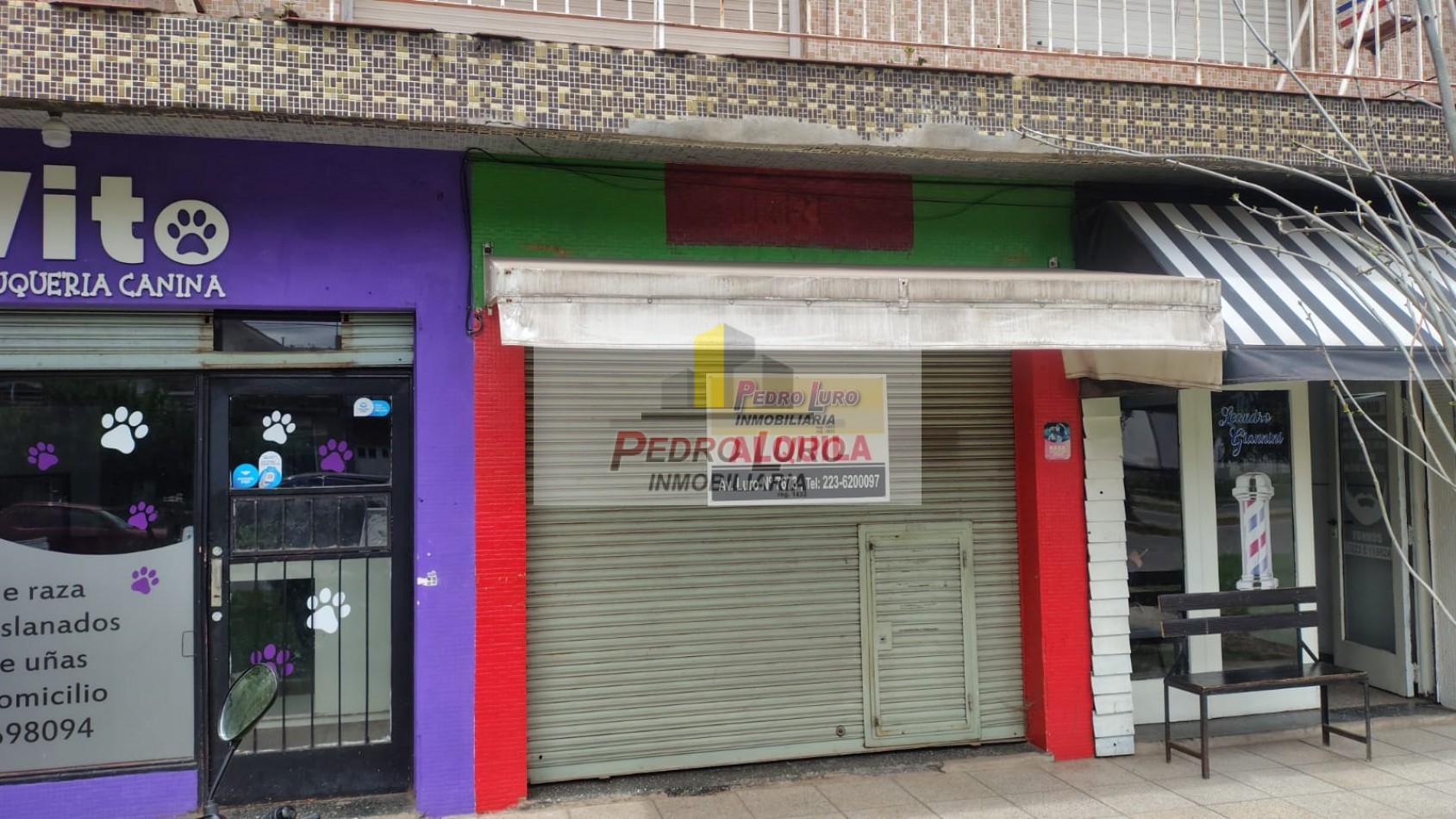 LOCAL  30 M2  . ALIO AL 1700