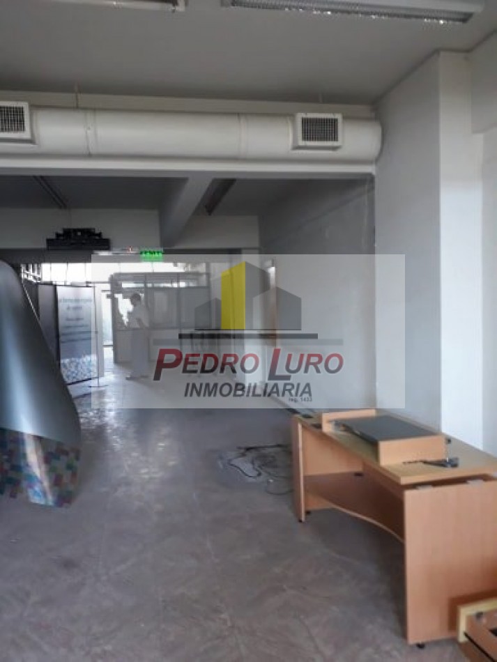 local 800m2 Luro y Champagñat