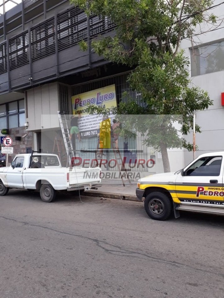 local 800m2 Luro y Champagñat
