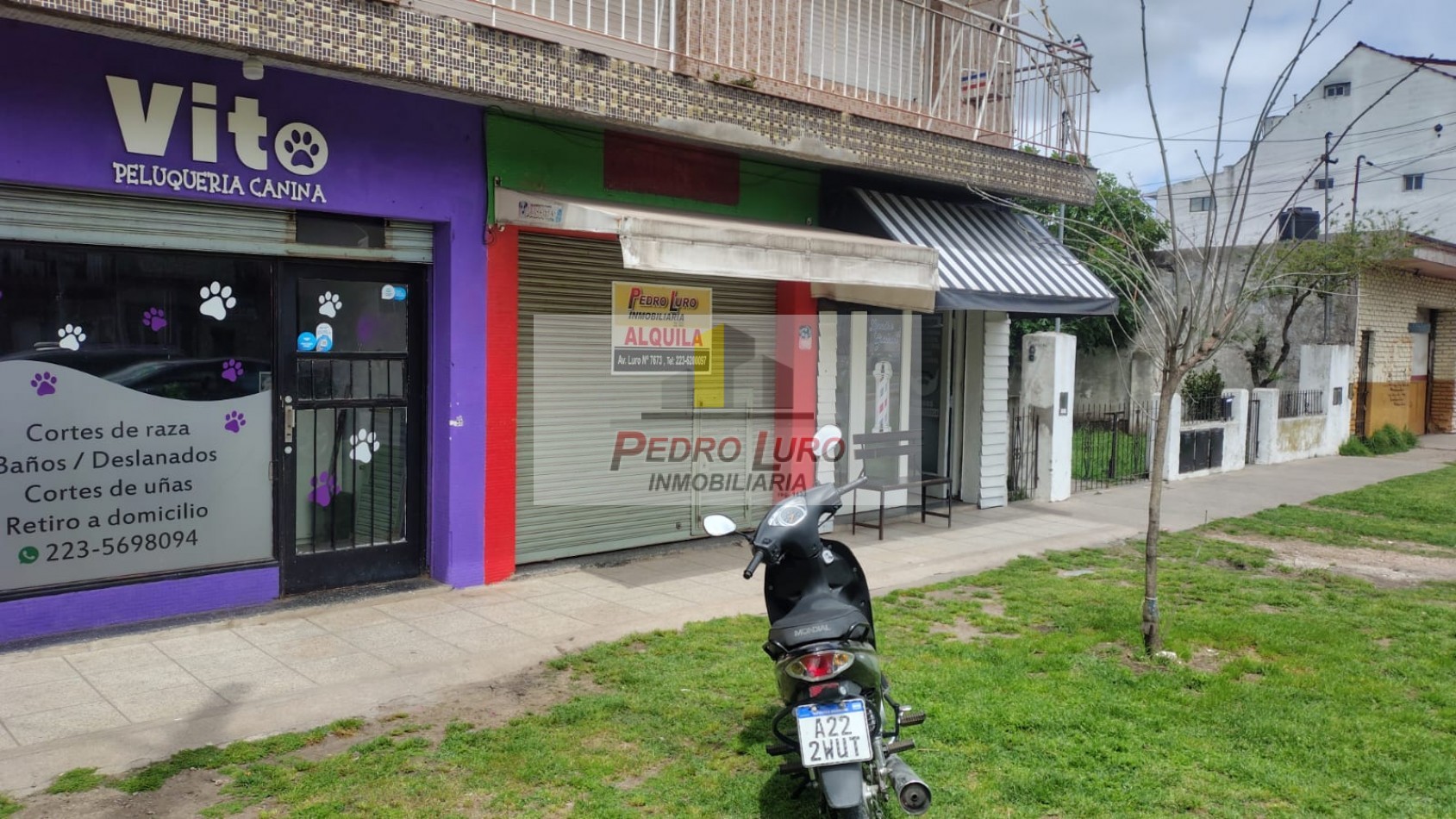 LOCAL  30 M2  . ALIO AL 1700