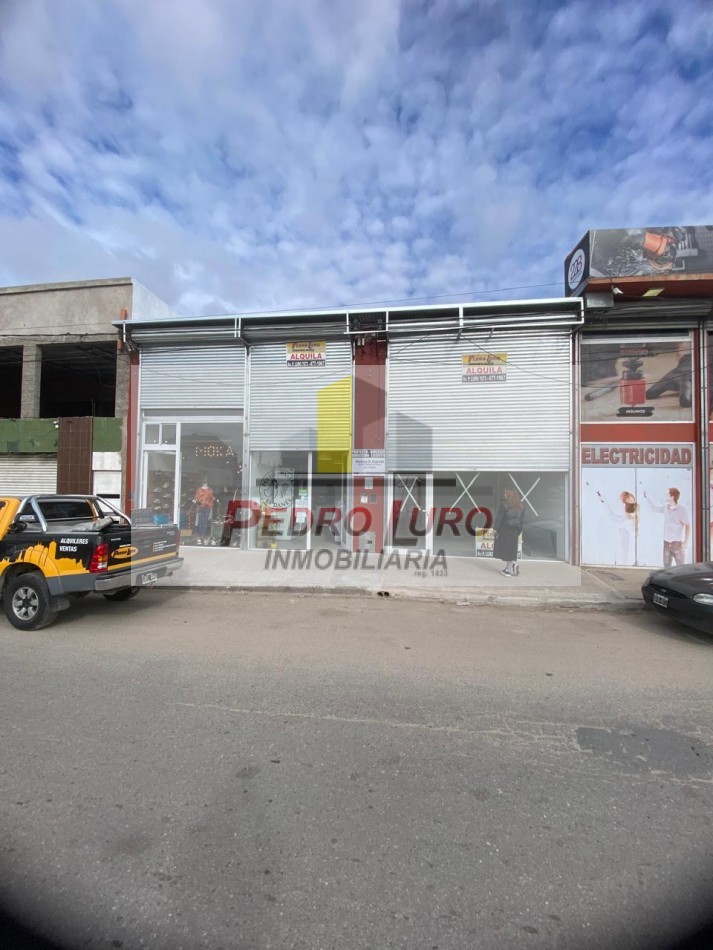 LOCALES COMERCIALES. LURO Y 228