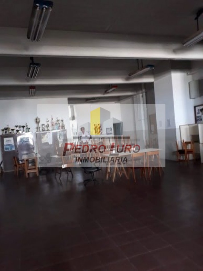 local 800m2 Luro y Champagñat