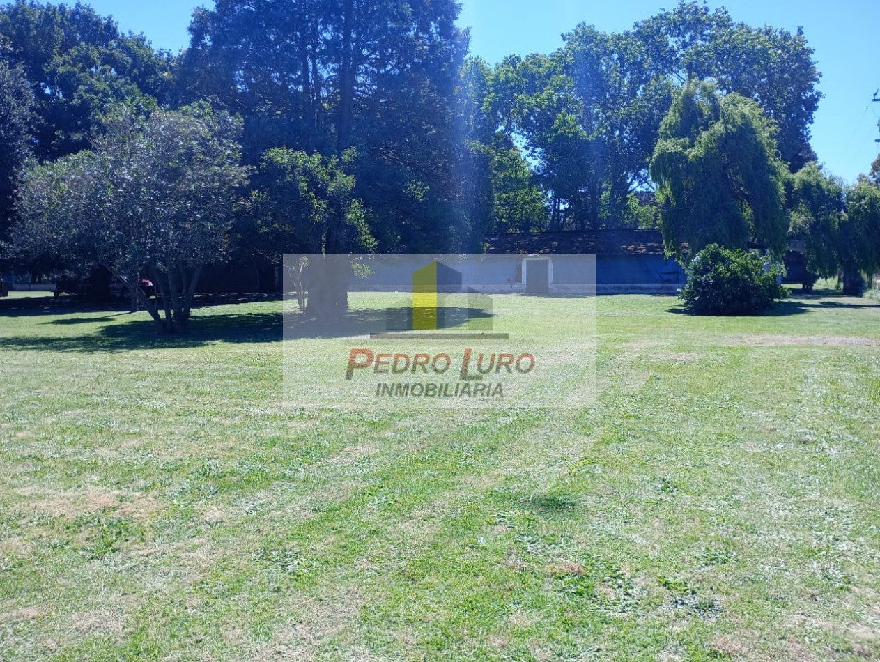 AVICOLA, HIDROPONIA, VIVERO... ETC. - CAMINO A MIRAMAR KM 12