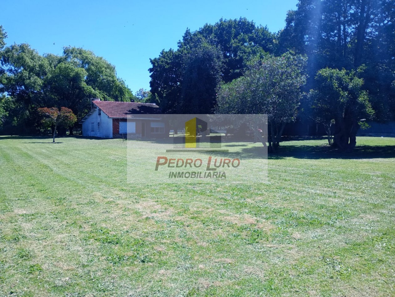 AVICOLA, HIDROPONIA, VIVERO... ETC. - CAMINO A MIRAMAR KM 12