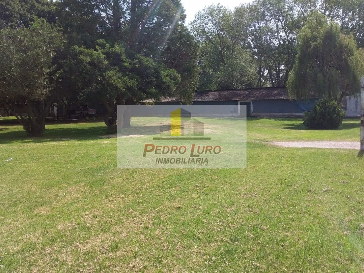 AVICOLA, HIDROPONIA, VIVERO... ETC. - CAMINO A MIRAMAR KM 12