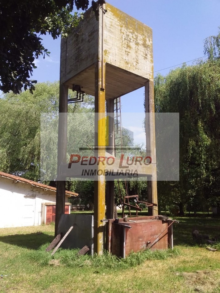 AVICOLA, HIDROPONIA, VIVERO... ETC. - CAMINO A MIRAMAR KM 12