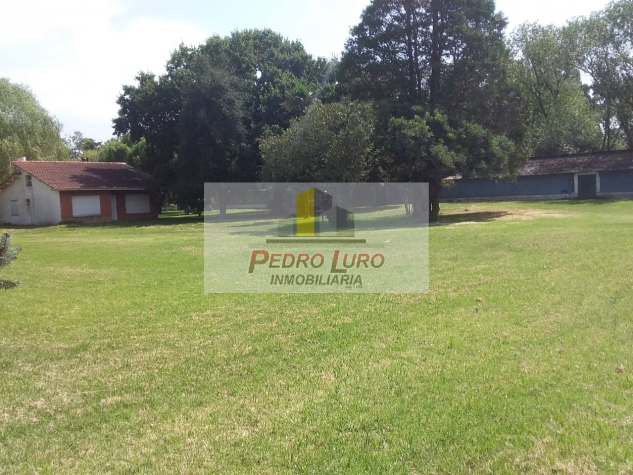 AVICOLA, HIDROPONIA, VIVERO... ETC. - CAMINO A MIRAMAR KM 12