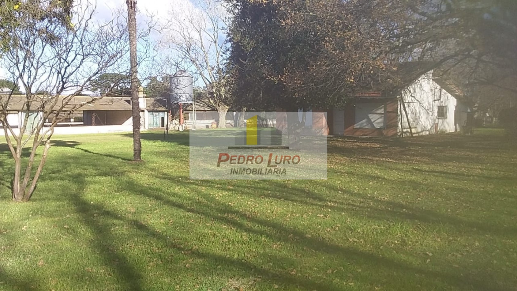 AVICOLA, HIDROPONIA, VIVERO... ETC. - CAMINO A MIRAMAR KM 12