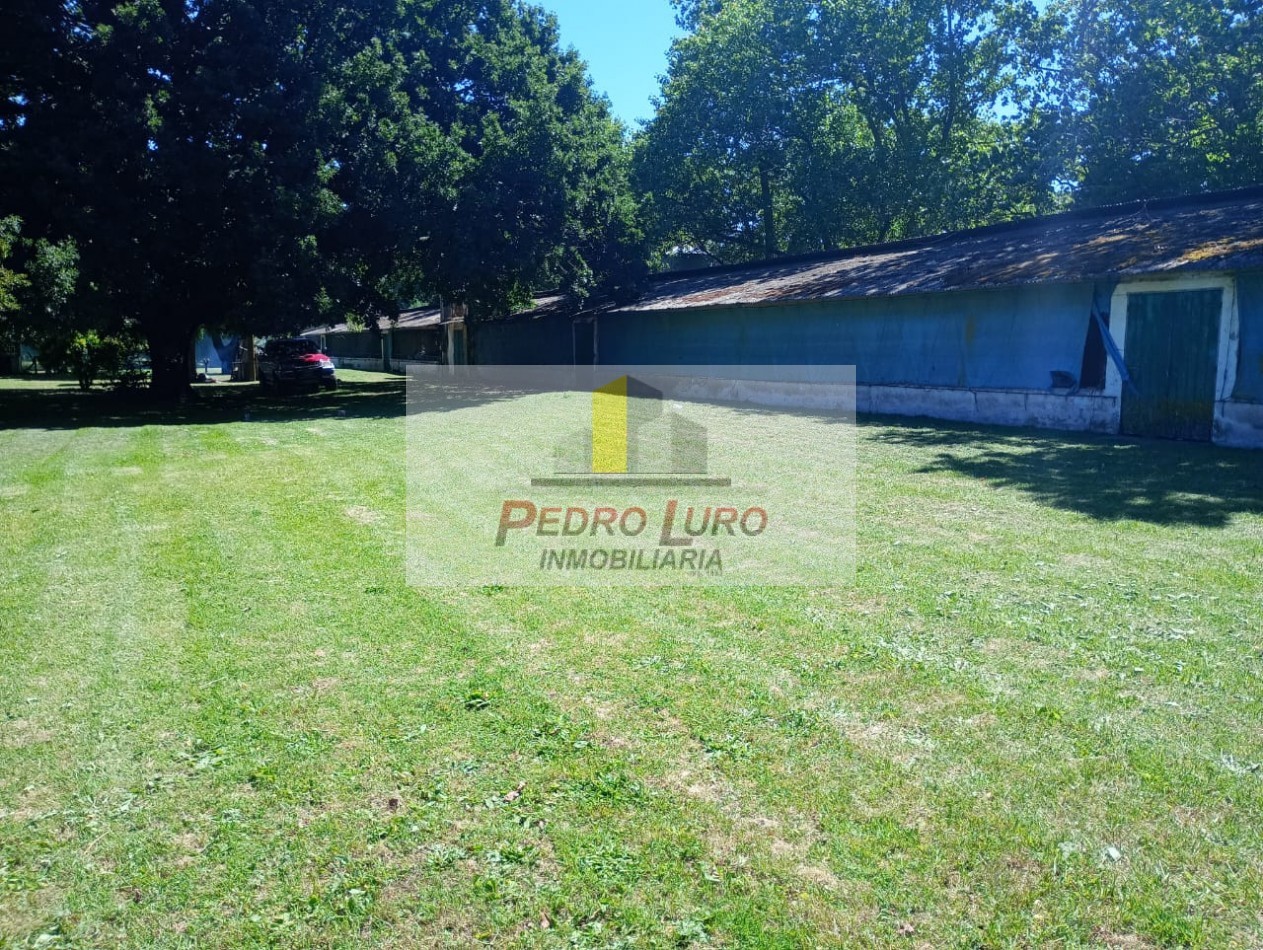 AVICOLA, HIDROPONIA, VIVERO... ETC. - CAMINO A MIRAMAR KM 12