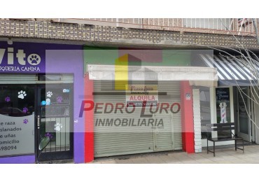 LOCAL  30 M2  . ALIO AL 1700