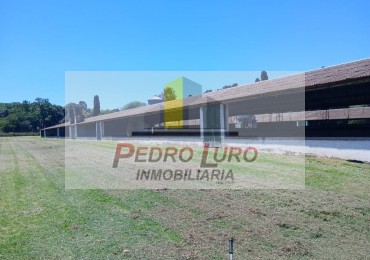 AVICOLA - CAMINO A MIRAMAR KM 12